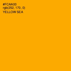 #FCAA00 - Yellow Sea Color Image